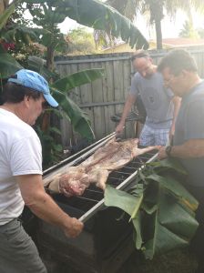 Making sure the pig is okay.