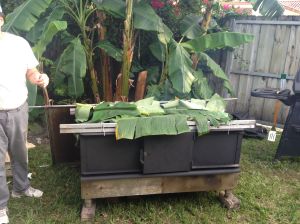 Pig placed atop the caja.